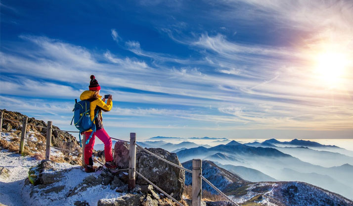 Tours & Excursion Services in The Woodlands, TX